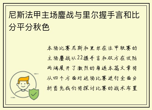 尼斯法甲主场鏖战与里尔握手言和比分平分秋色